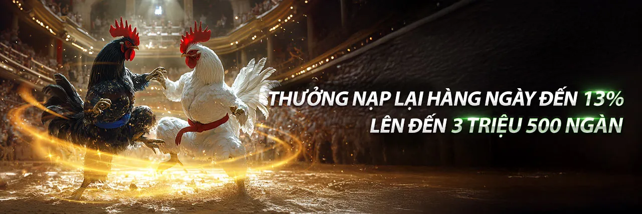 Tổng quan các điều khoản dịch vụ zb3688